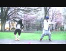【まほんぬ】Spring Shower踊ってみた【すーこー】