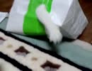 紙袋からぬこパンチ（`・ω・）⊃≡⊃【あたしンちのぬこ】