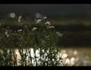 日本の風景　-夕暮れノスタルジア-