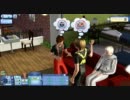 【APヘタリアでSims3】ヒーローで部下を更生させてみる