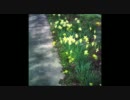 【インストオリジナル】ask the tears【ポストロック】