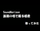 【SoundHorizon】薔薇の塔で眠る姫君【歌ってみた】