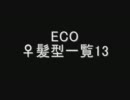 ECO♀髪型一覧13