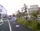 ワキュお散歩：近所の新しくできた道 [20090812]