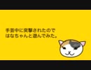 手芸中に突撃されたのではなちゃんと遊んでみた。