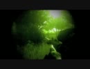 【OFP:RR】Operation Flashpoint Red River 6-2