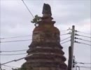 海外タイＮＯ．５４