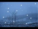 【吹いてみた】尺八×雪の華