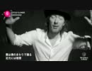 Radiohead - Lotus Flower 【日本語字幕】