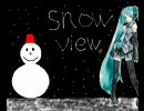 Snow View