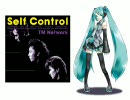 初音ミク meets TMNetwork 『Self Control』　みくみくテクノRe-mix