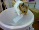 ミサイルにいじわるしてみたらこうなった