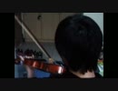 JUBEAT EVANS VIOLIN PLAY