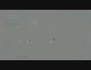 【カセットテープ】Polandを録音・再生【アナログ】