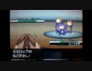 うちのミミロが一番可愛いよ！