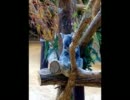 東山動植物園