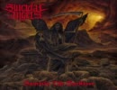 【スラッシュメタル】Suicidal Angels-Sanctify The Darkness-Bloodthirsty