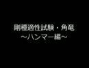 【MHF】剛種適性試験・角竜　ハンマー編
