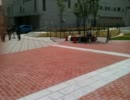 うちの大学に変な奴がいた。