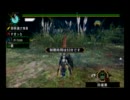 【MHP3】月下の渓流に、双雷は轟く【ランス　1頭】