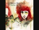 Camera Obscura - James
