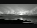 If These Trees Could Talk - Malabar Front