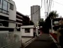 20110516-1 NER=ネル 人生は壮大な暇つぶし。10