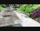 ふらり岩屋山へその２