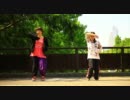 【ろーりん】ハッピーシンセサイザ踊ってみた【水姫+ﾟ】