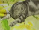 3秒後に勝つ猫