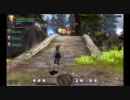 よし・・『ドラゴンネスト』を初見で実況してみようΣ(･Д･)ｶｯ?⑥の1