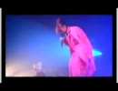 (LIVE) 豚乙女 / FN2011(2/2)