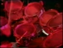 SAGA 1981 _Humble Stance - LIVE