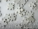 椿×なき「LEAVE THE PIECES」デュエットしてみました