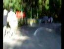 Down Hill in 古賀志林道 '07 ジャパンカップサイクルロードレース