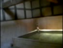 とうほぐ行ってみた。【その２・温泉編】