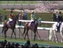 【競馬】2000円賭けた【第71回桜花賞・他】