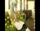 【歌ってみた】 花と生活 【らせを】