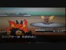【ポケモンBW】王者エンブオーの圧倒的つっぱり無双【対戦実況】