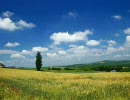 北海道、美瑛・富良野の風景写真その2