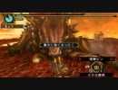 【MHP3】　アカムトルム　ネコ火事場弓ソロ　0分針（4分56秒）