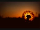 【ピアノ】HANABI/Mr.Children