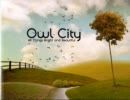 Owl City - Alligator Sky(Without Rap)