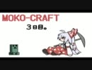 もこたんのマインクラフト生活をゆっくり初実況【三日目】