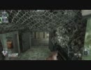 【CoD:BO】制限サーチでプレイ！【part8】