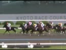 【競馬】1600円賭けた【第28回東海S】