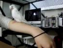 オカメインコの山崎さん
