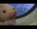 木下育美、世界の旅　第１シーズン予告