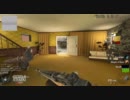 職人がおくるTDM:M14(PC版COD:BO）