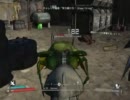 【Borderlands】世紀末な世界を生き残る実況25【盆】